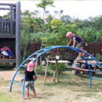 遊びこめる環境 (園庭)